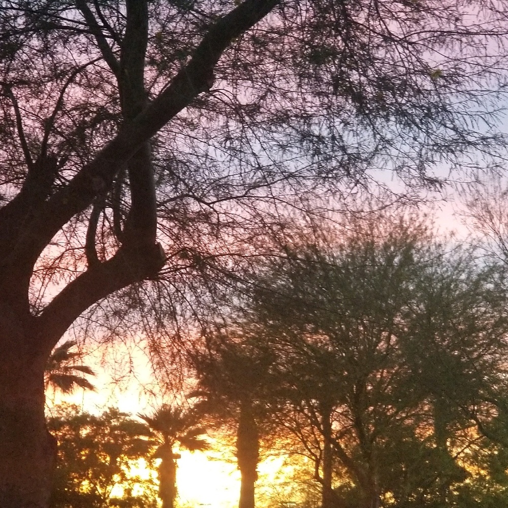 Meet your Posher, Tanisha